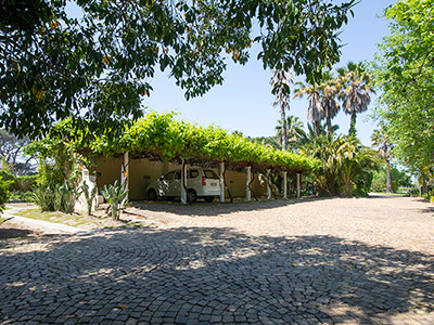The Country Guesthouse - Vineyard Rooms